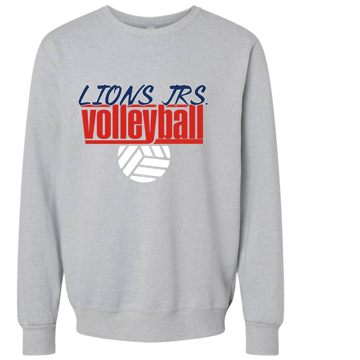 LIONS JRS VOLLEYBALL