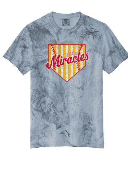 ASCA  SOFTBALL home plate  - TSHIRTS   (MULTIPLE OPTIONS)
