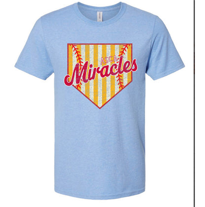 ASCA  SOFTBALL home plate  - TSHIRTS   (MULTIPLE OPTIONS)