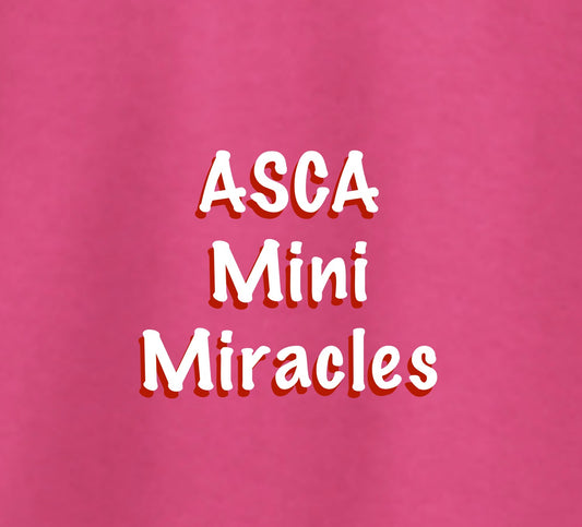 Mini Miracles T ( For cheerleaders & Dancers only)