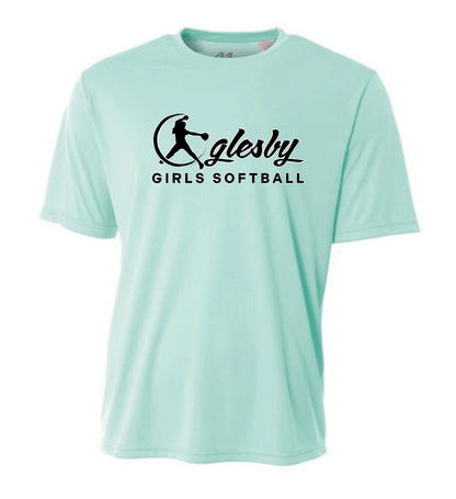 OGLESBY SOFTBALL LOGO TEAM COLOR SOLID DRIFIT TSHIRTS